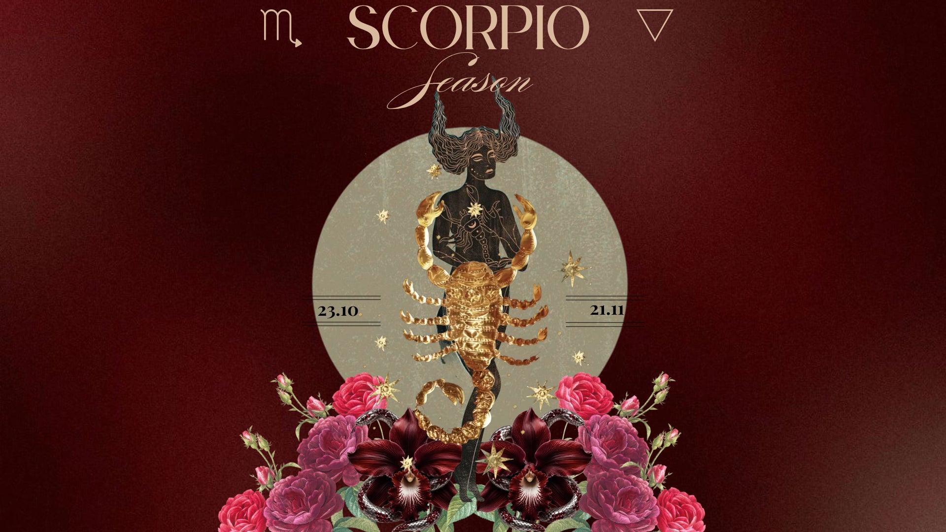 Scorpio Season 2026: What Changes When We Stop Looking Away?