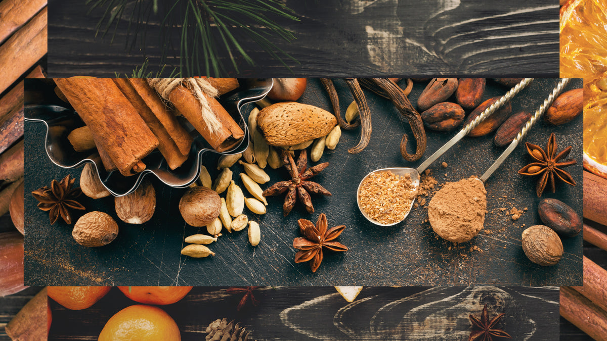 Winter Scents: Warmth From Within