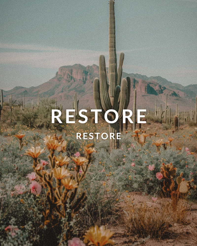 Restore