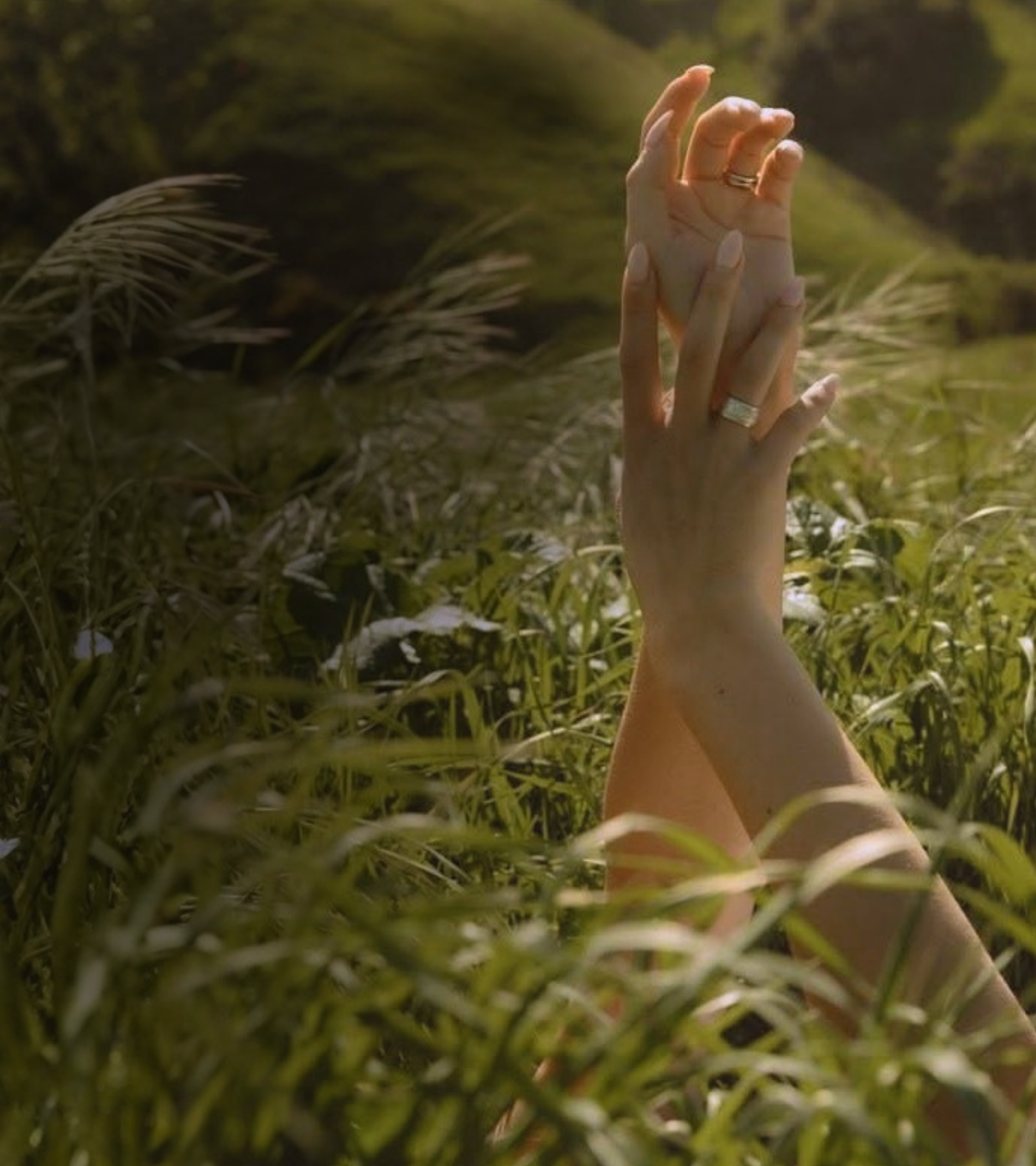 Grounding Divine Scent and Healing Anointing Oil roll-ons resting in tall grass