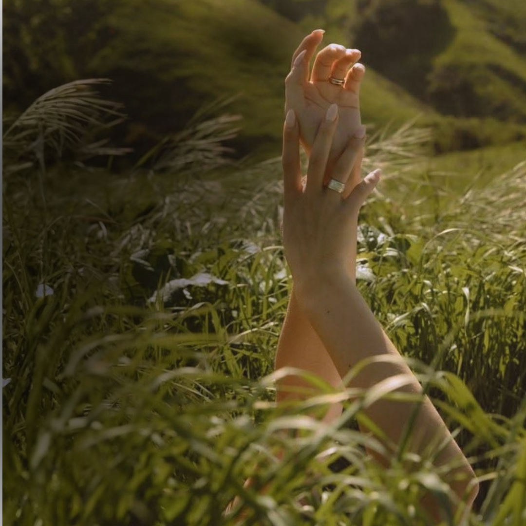 Grounding Divine Scent and Healing Anointing Oil roll-ons resting in tall grass