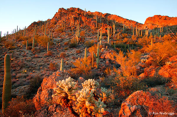 A Fall Equinox Message from Kate