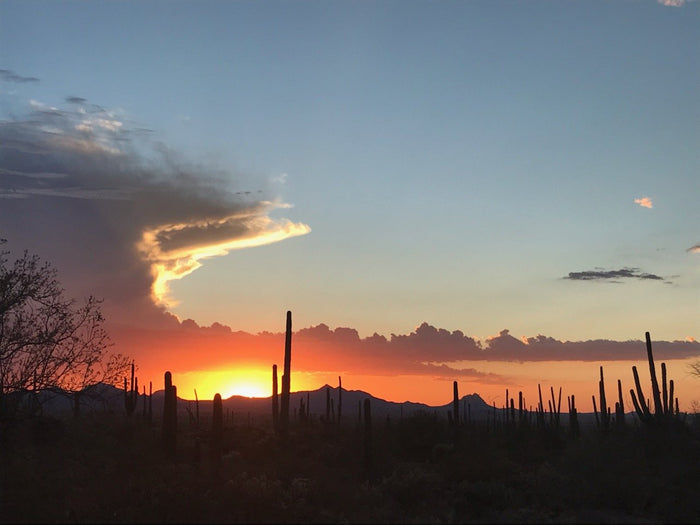 Lammas Greetings from Kate's Magik