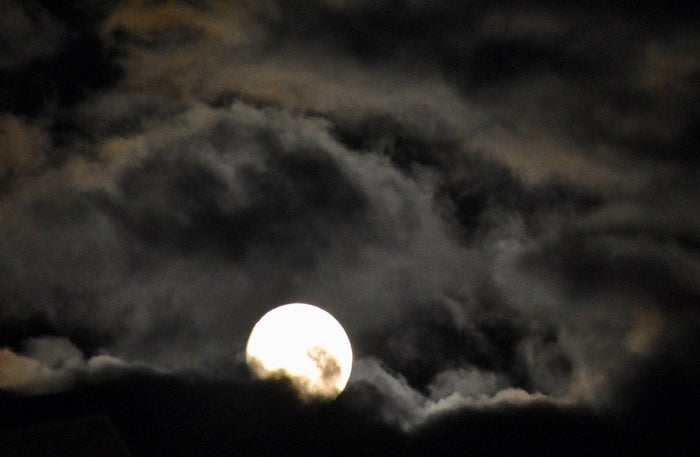 Autumn Equinox + Mabon Message from Kate