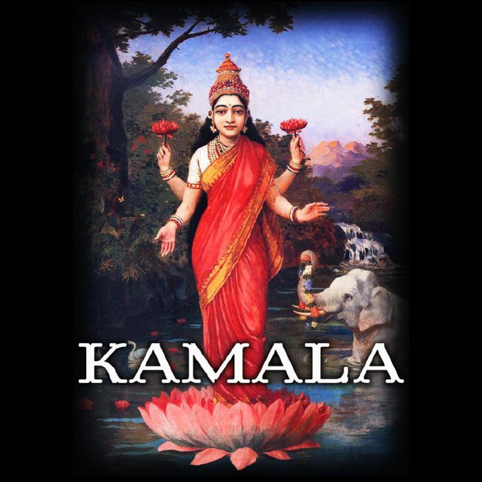 November 2020 Bastet Perfume Society: Kamala