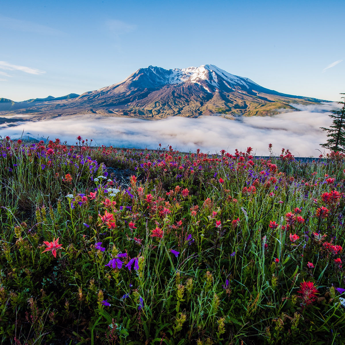 Kate's Spring Newsletter