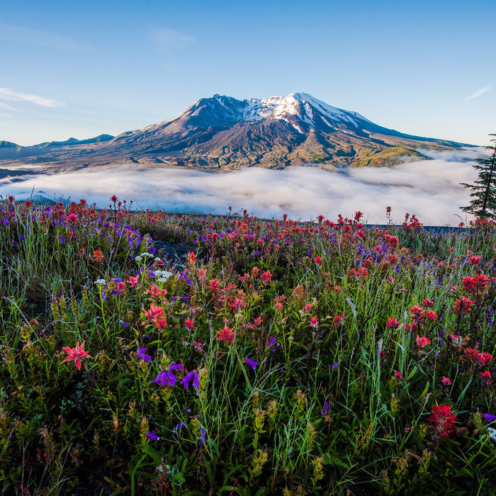 Kate's Spring Newsletter