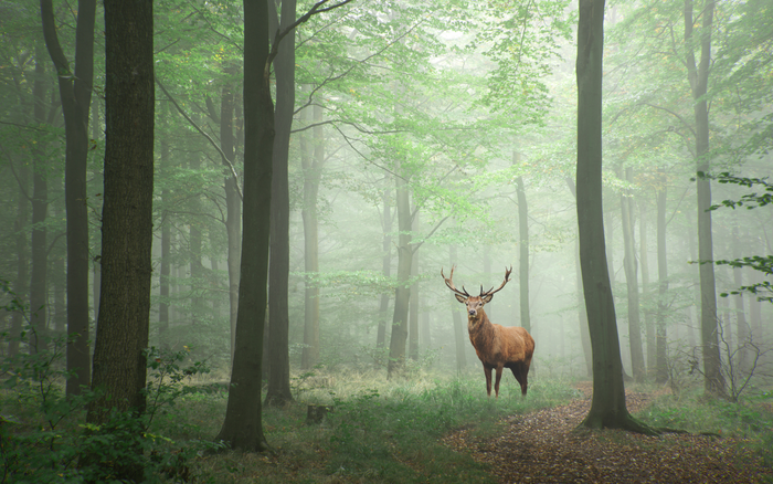 Autumn Equinox Message from Kate 2021