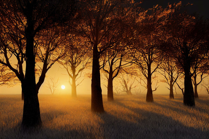 We honor the high holy day of Mabon in the northern hemisphere 