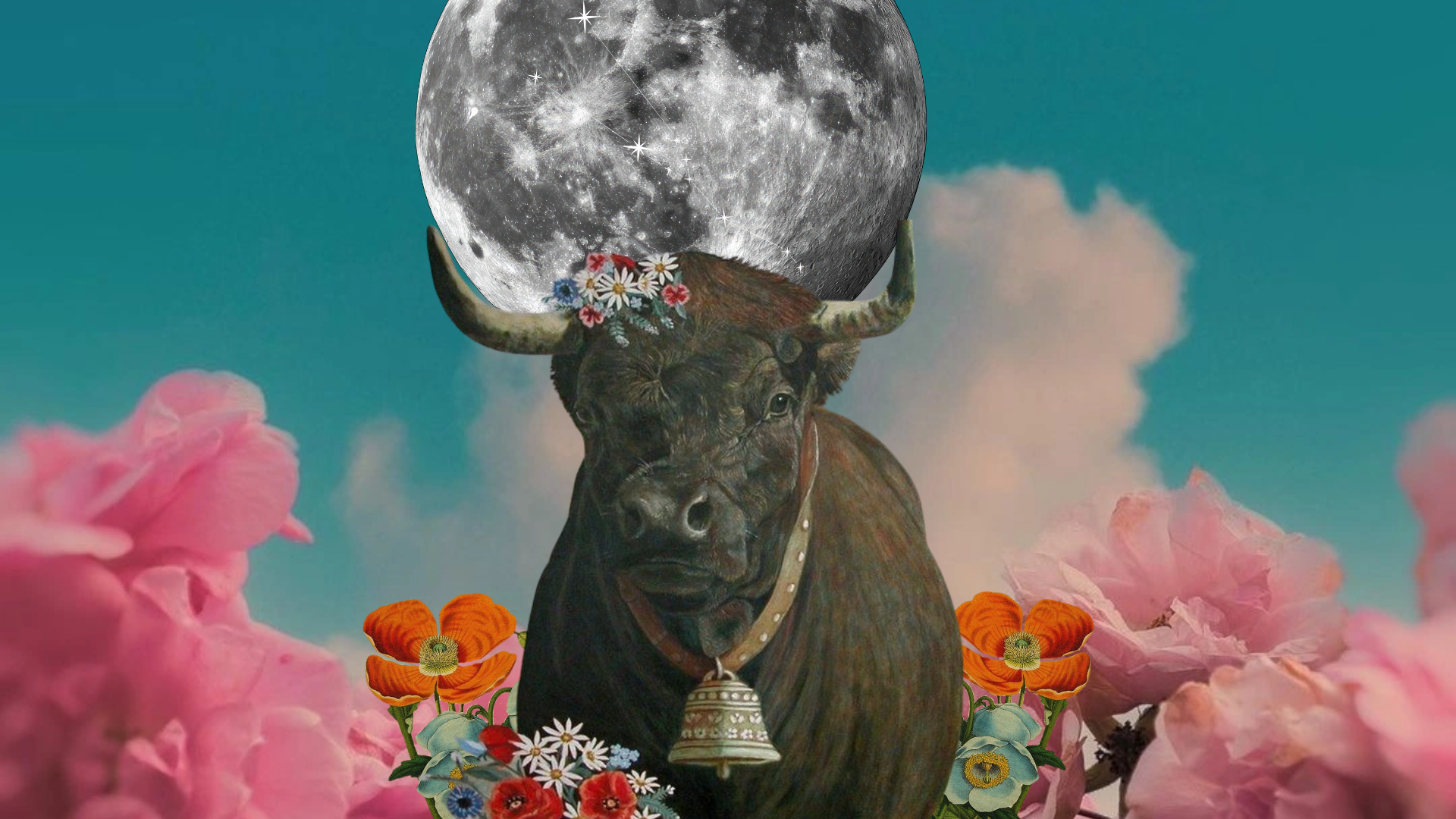 🌕 Full Moon in Taurus 2026: What Truly Makes You Feel Secure? ♉︎
