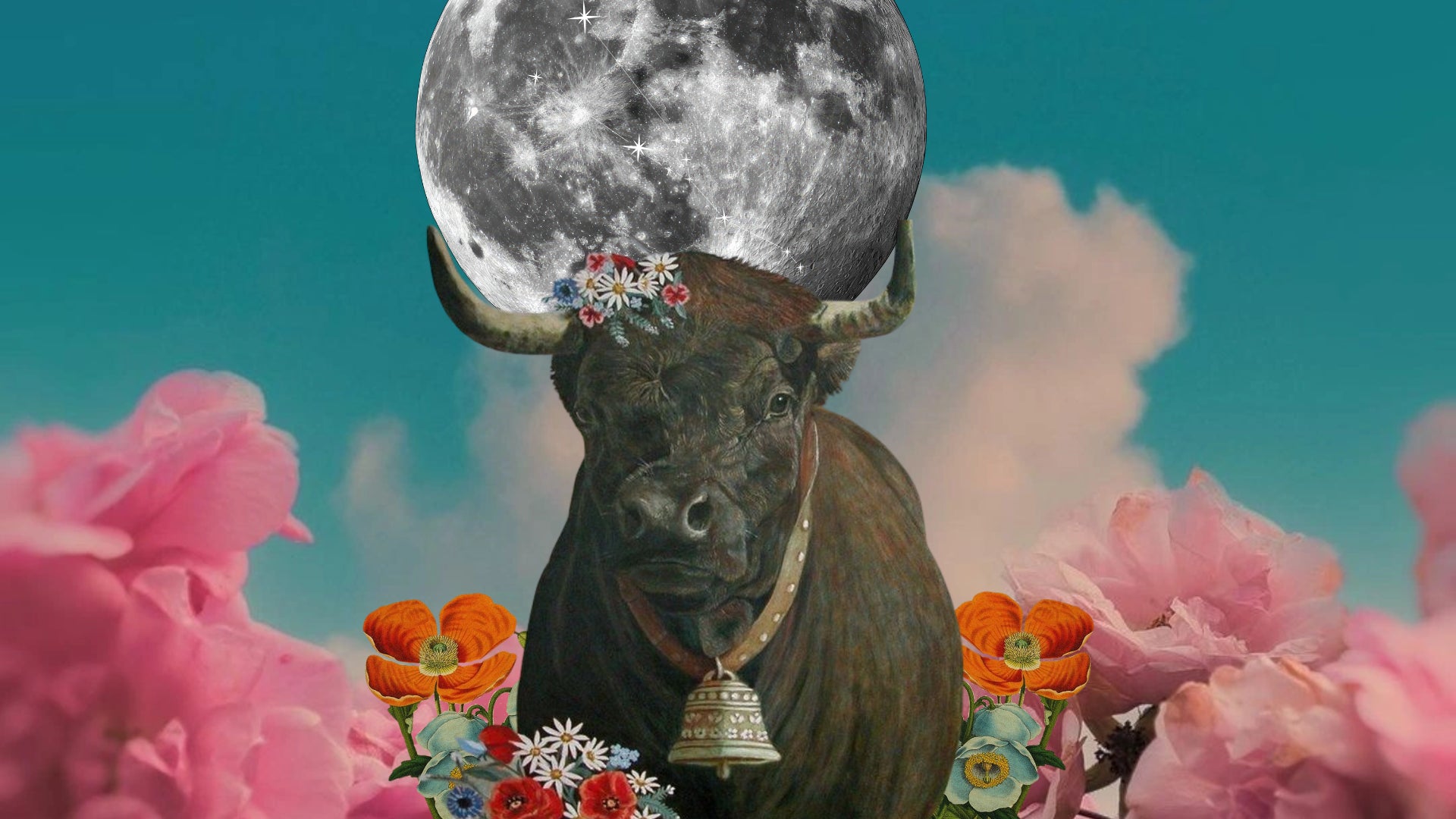 🌕 Full Moon in Taurus 2026: What Truly Makes You Feel Secure? ♉︎