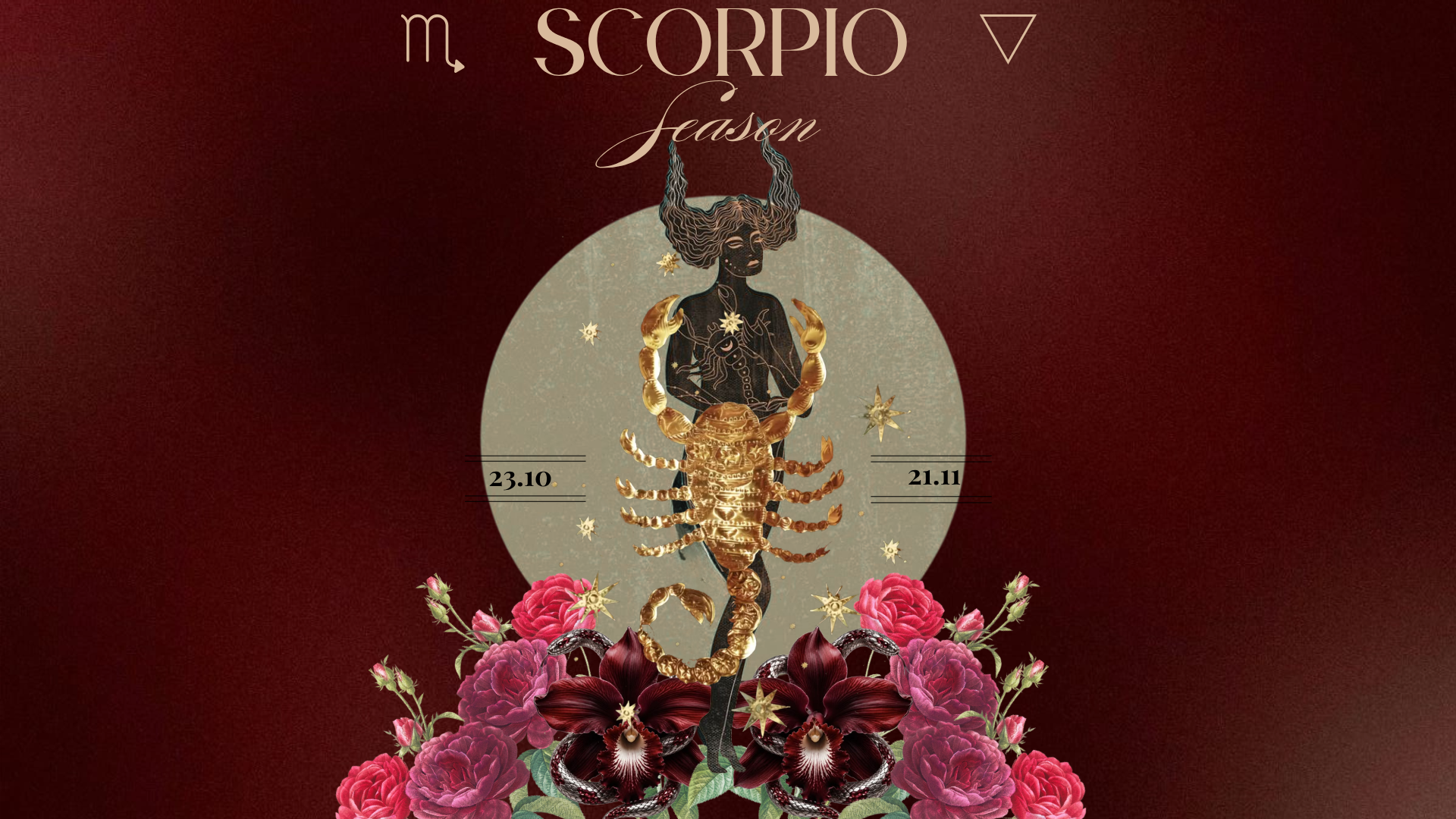 Scorpio Season 2026: What Changes When We Stop Looking Away?