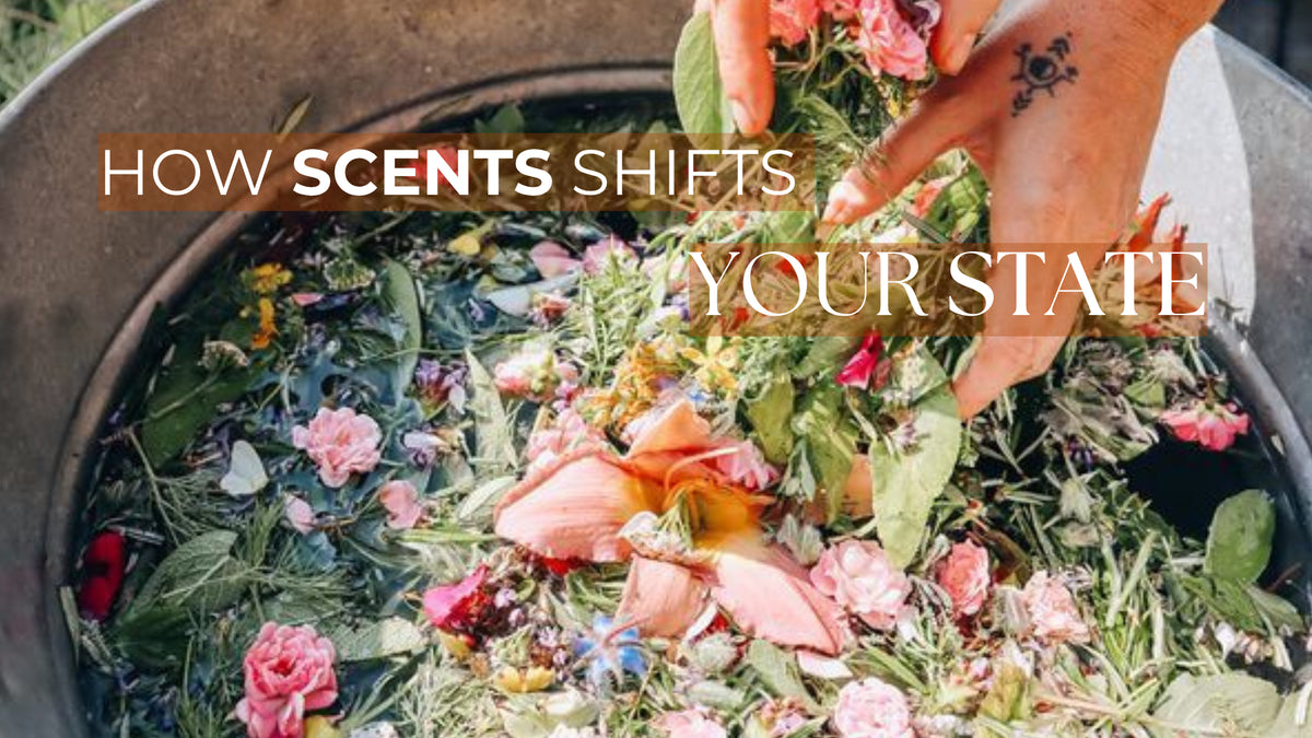 ༄ How Scents Shift Your State ✴︎