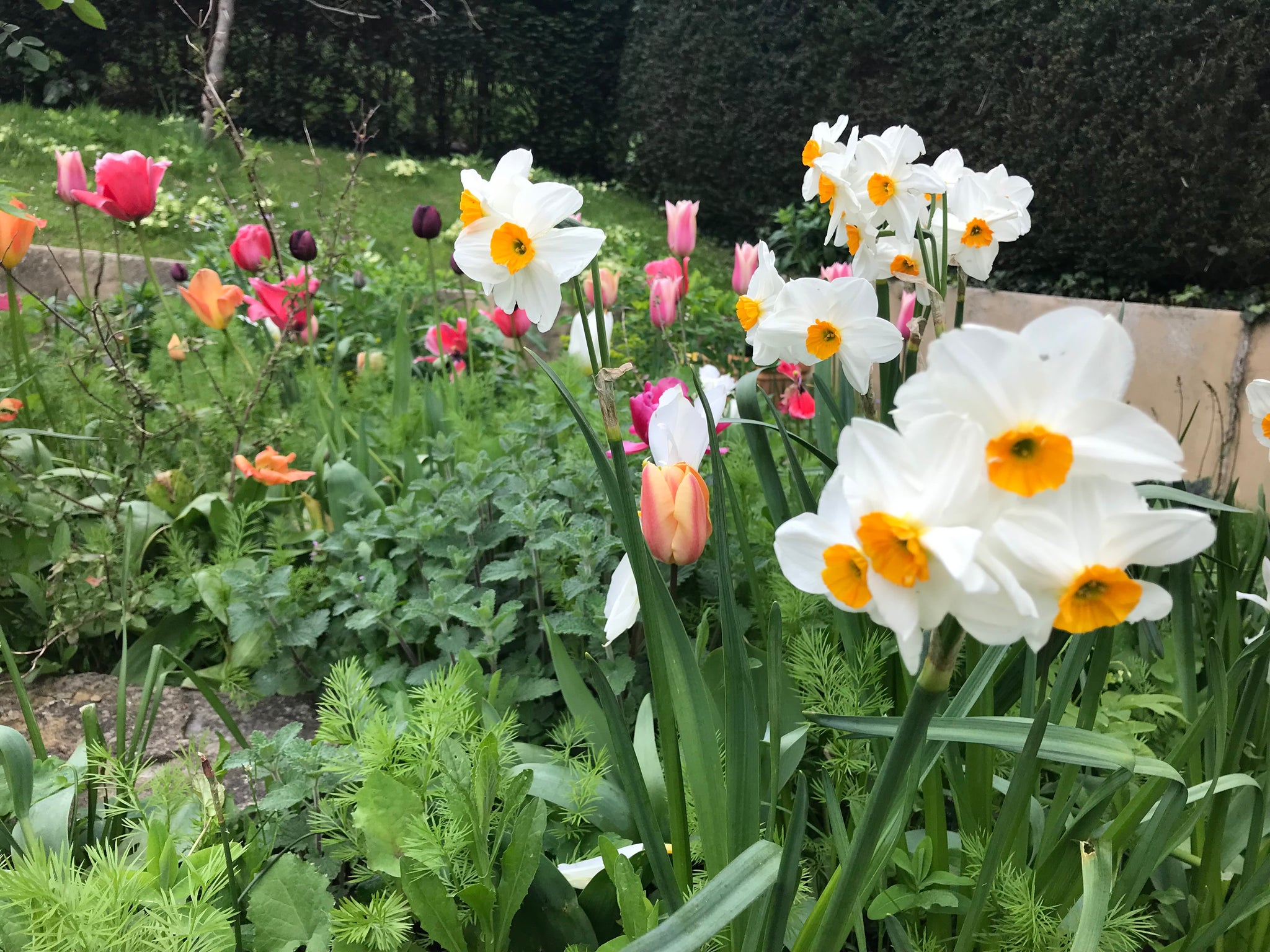 2023 Beltane Message from Kate