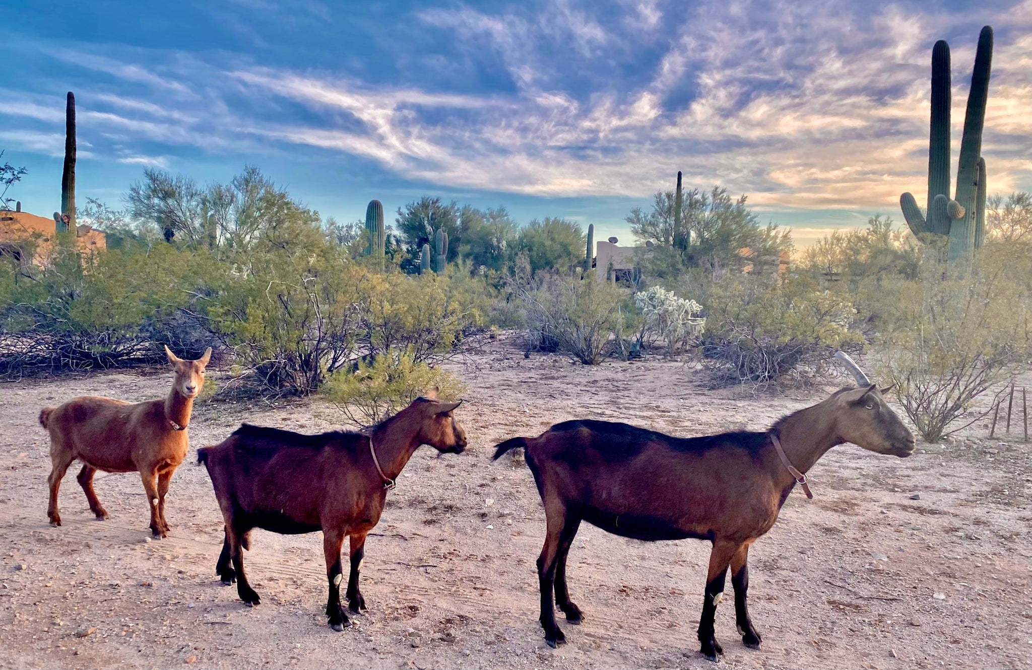 Autumn Equinox / Mabon Message from Kate