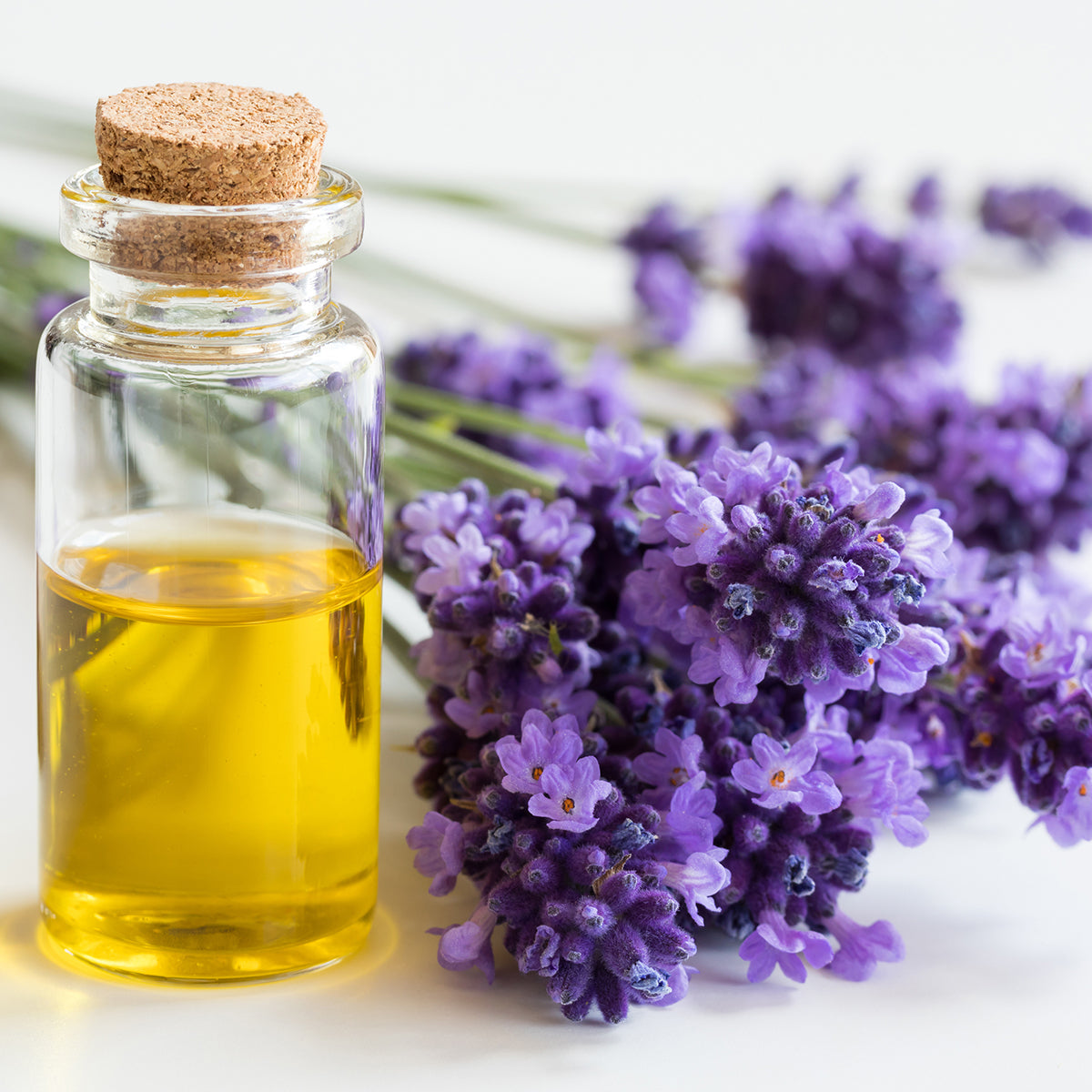 Lavender Essential Oil for Calm: What It Does and How to Use It | Kate's Magik