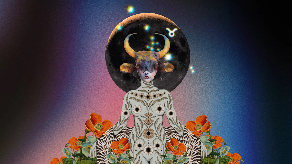 🌑 New Moon in Taurus ✺ A return to what steadies you 🌑