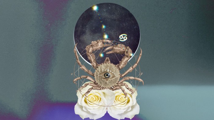 🌑 New Moon in Cancer ♋︎