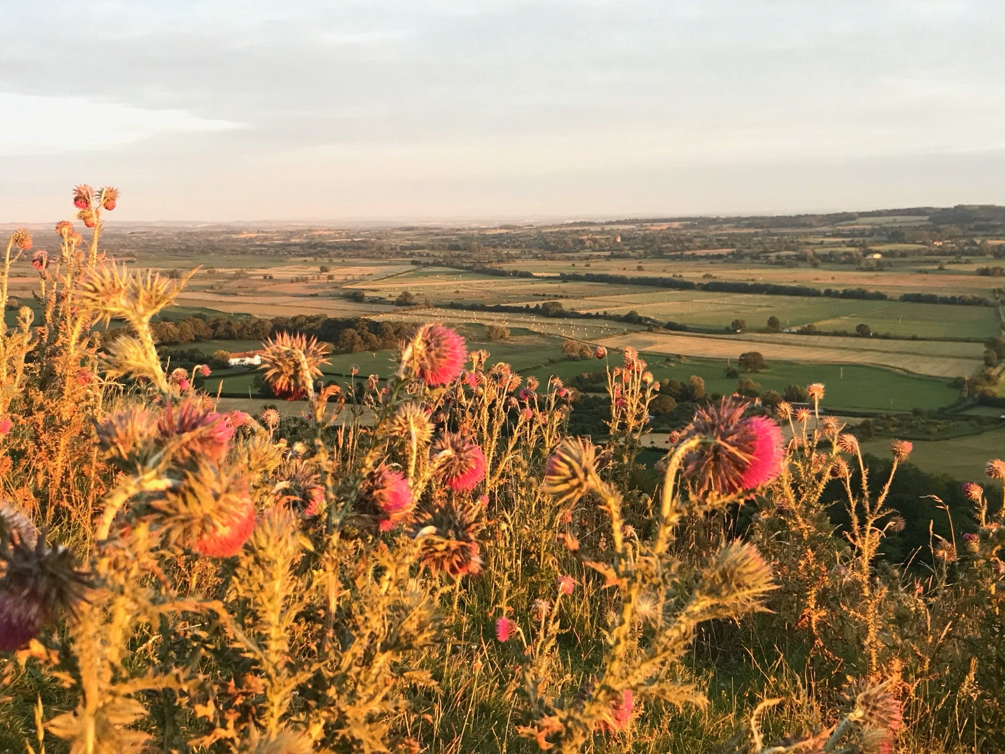 OSTARA MESSACE FROM KATE 2024