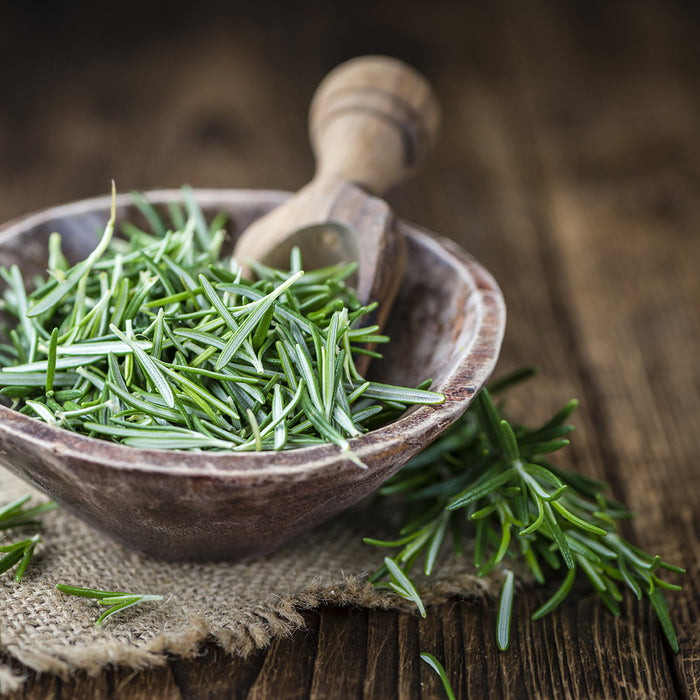 Essential Oil Spotlight: Rosemary