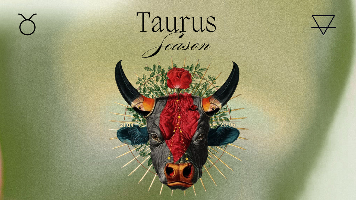 ☉♉︎ Sun in Taurus A season for rooting into what truly sustains you ♉︎☉