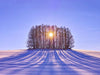 Winter Solstice 2015 Newsletter