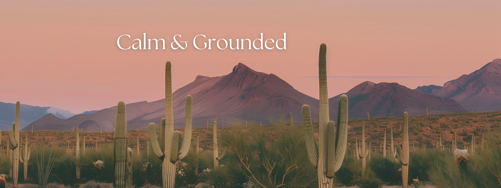 Quiz Results - Calm & Grounded