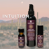 INTUITION Intention Set