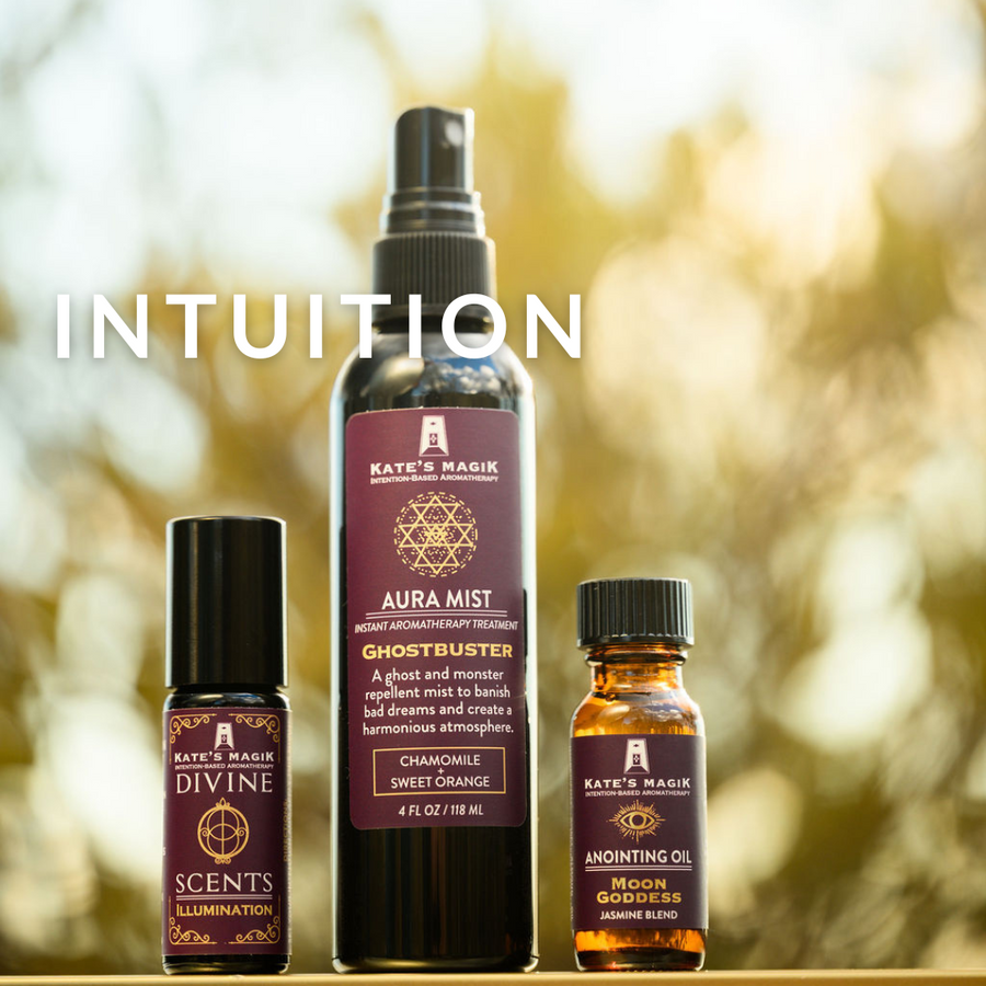 INTUITION Intention Set