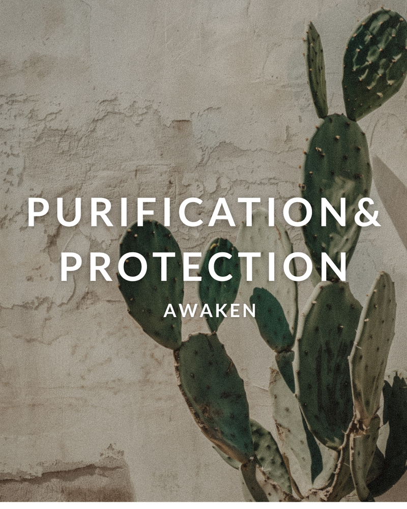 Purification & Protection