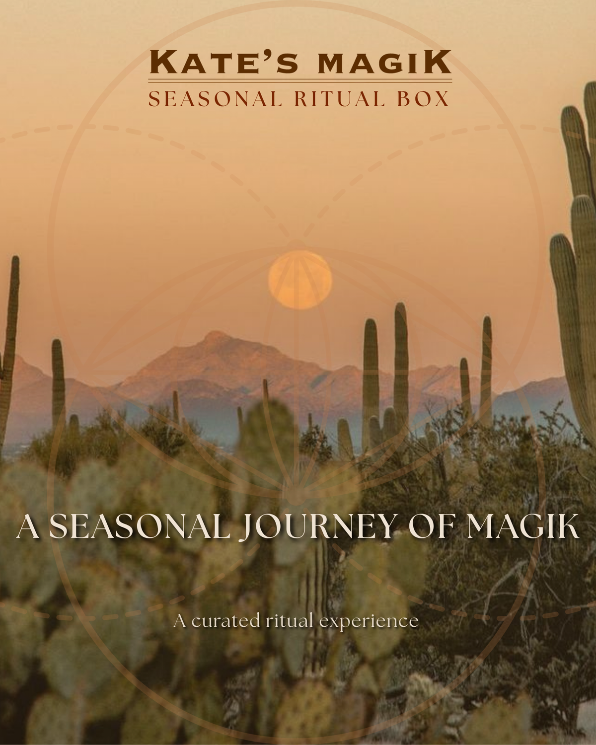 Kate’s Magik natural perfumes, mists, and roll-ons displayed in the Tucson showroom