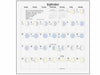 2023 We'Moon Wall Calendar